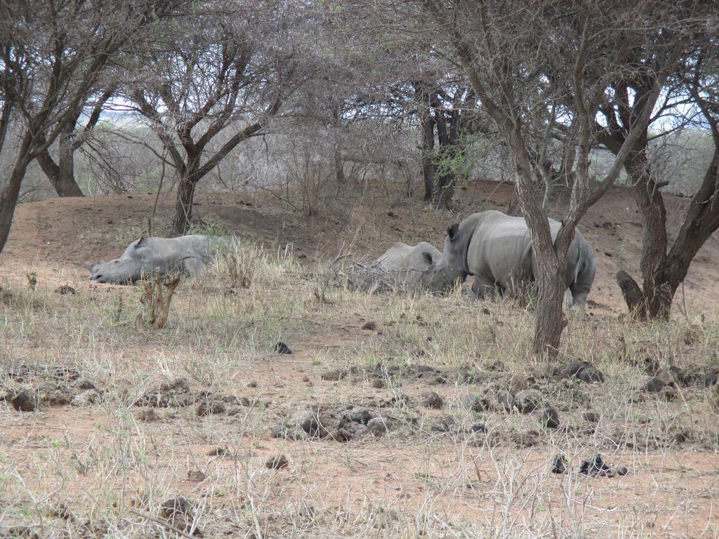 Tshukudu Game Lodge - Ходспруит Екстериор снимка