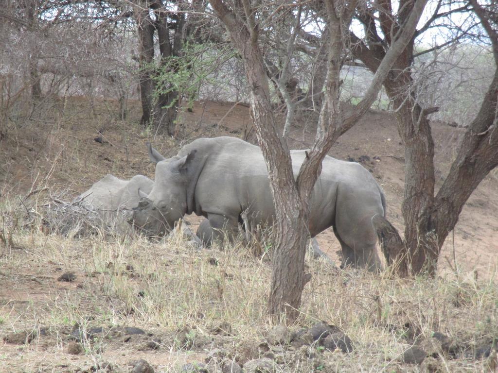 Tshukudu Game Lodge - Ходспруит Екстериор снимка
