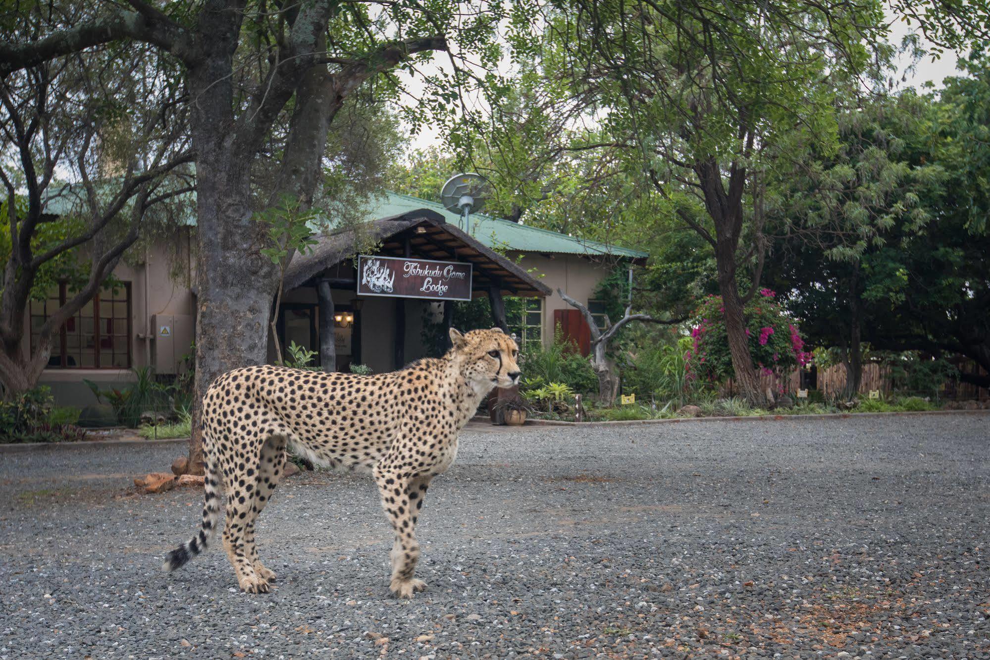Tshukudu Game Lodge - Ходспруит Екстериор снимка