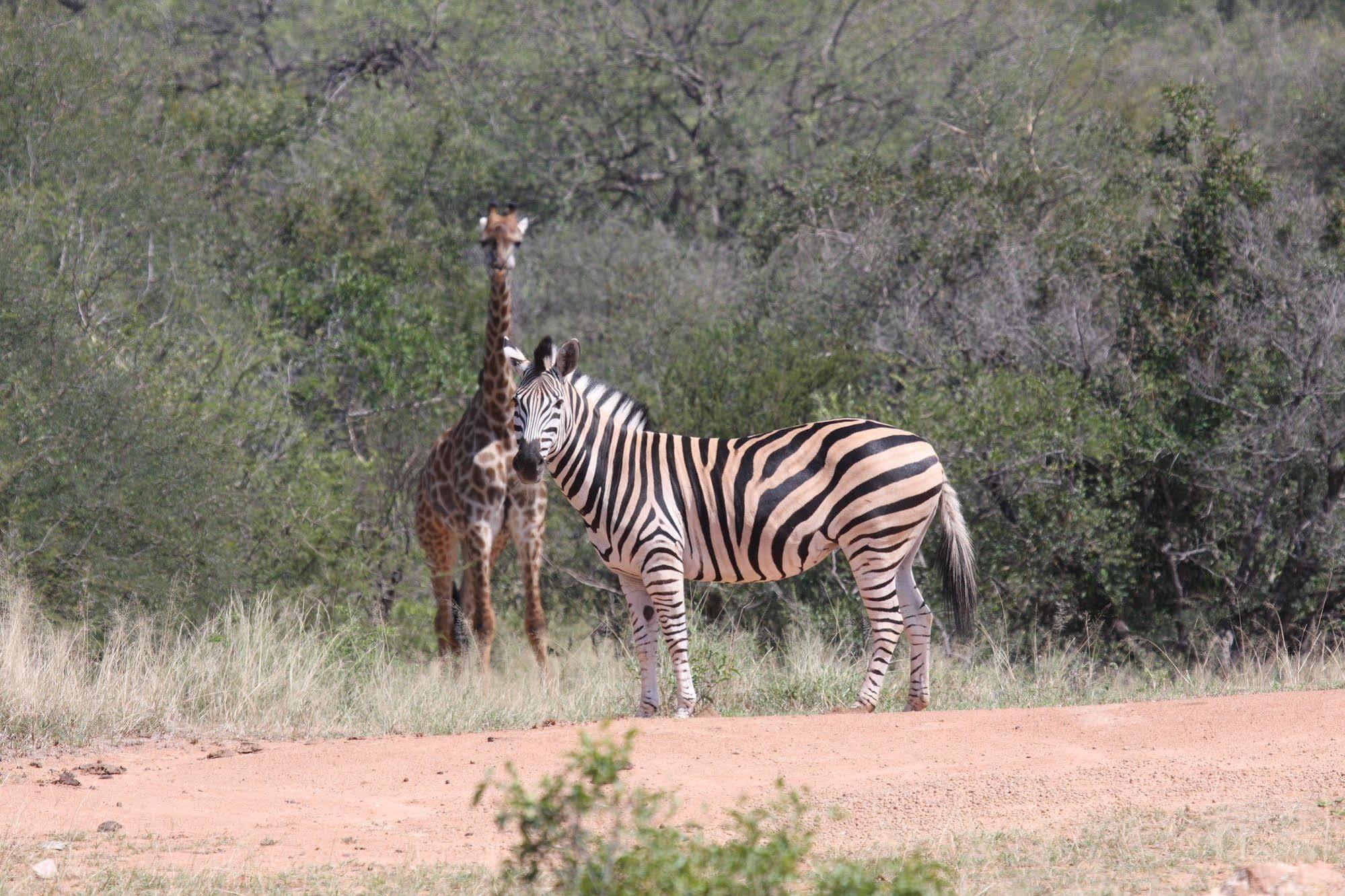Tshukudu Game Lodge - Ходспруит Екстериор снимка