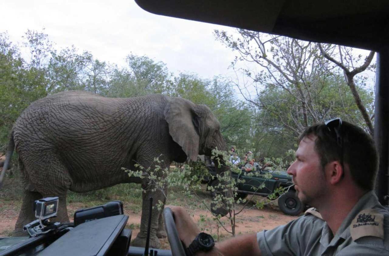 Tshukudu Game Lodge - Ходспруит Екстериор снимка